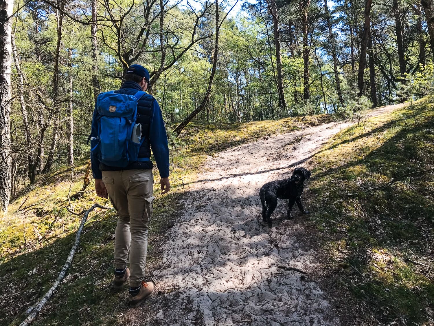Everinghauser Wanderdüne Wandern mit Hund in der Nähe von Bremen